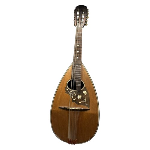 Mandoline gitarre blumenmotiv - mandoline,
