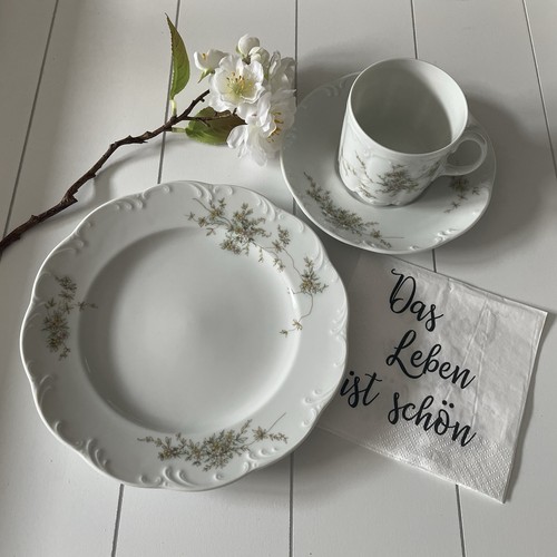 Rosenthal monbijou - rosenthal,