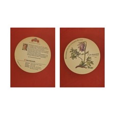 Meckatzer Löwenbräu Echte