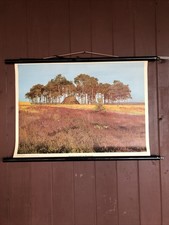 Wandbild Rollkarte „ Heidelandschaft Bei Bispingen“ Westermann