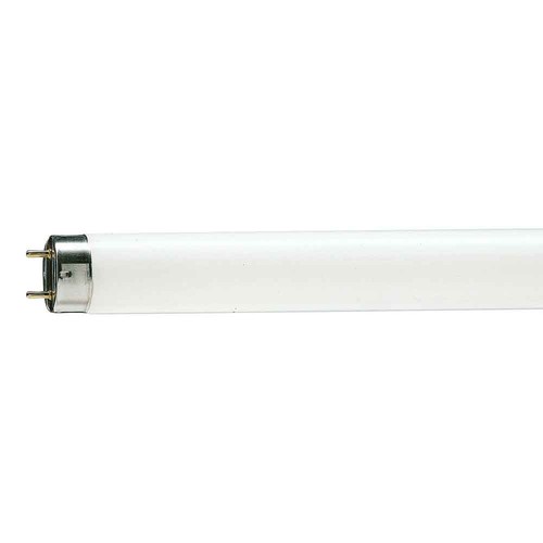 Leuchtstofflampe röhre - leuchtstofflampe, t8