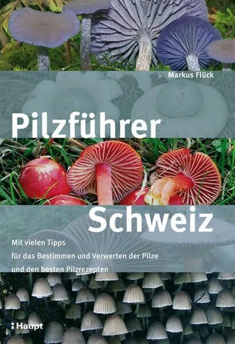 Pilzführer schweiz mit - pilzführer, schweiz: