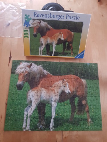 Ravensburger puzzle 300 teile - 300,