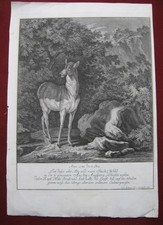Johann Elias Ridinger: Landschaft Hirschkuh 1741/Landscape Hind Print Radierung