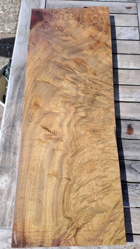 Seltenes drechselholz - seltenes,
