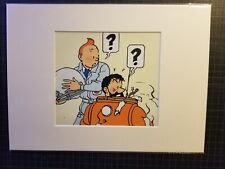 Tim und Struppi, tintin, Bild
