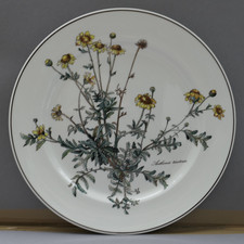 Villeroy & Boch Botanica  1