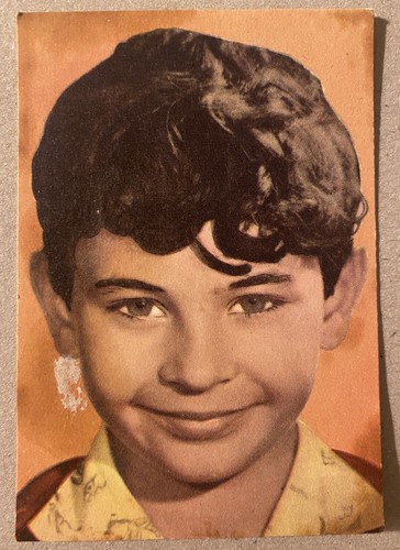 Massimo giuliani heinerle - *,