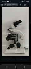 Mikroskop hund Wetzlar V300