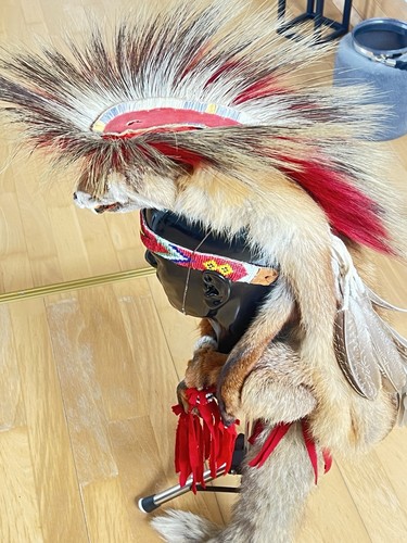 Porcupine roach kopfschmuck - porcupine,