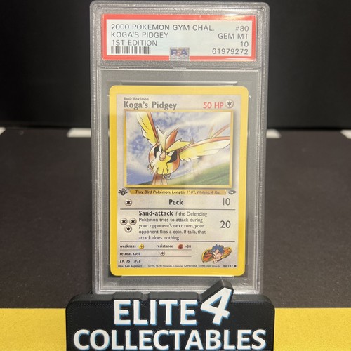 Koga pidgey 132 - koga's, 80/132