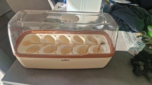 Aufzuchtkasten
