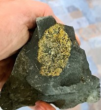 Olivin in Basalt, Bauersberg