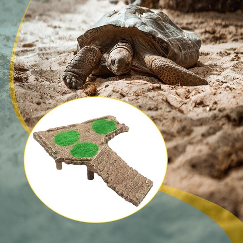 Schildkröten-Aquarium-Dekorat