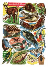 Alte Stammbuchbilder Glanzbilder Bogen 1132 Geschützte Tiere... EB kompl. DDR