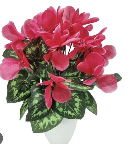 Alpenveilchen 36cm lila - , im