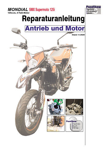 Reparaturanleitung ris mondial - reparaturanleitung,