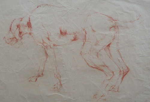 Sanguine pastell hund - sanguine,