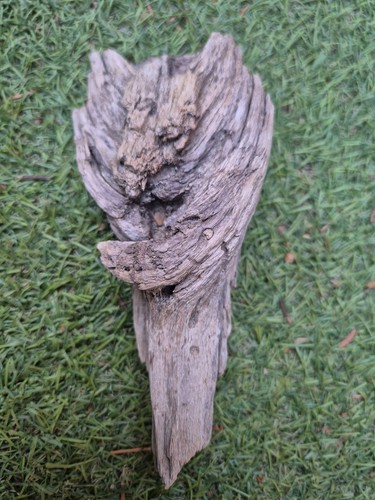 Sehr selten korios skulptur - sehr,
