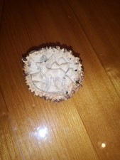 Geschnitzte Hirschhornrose