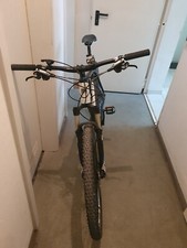 fahrrad Bulls XXL Carbon