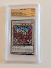 YuGiOh Schwarzer Rosendrache