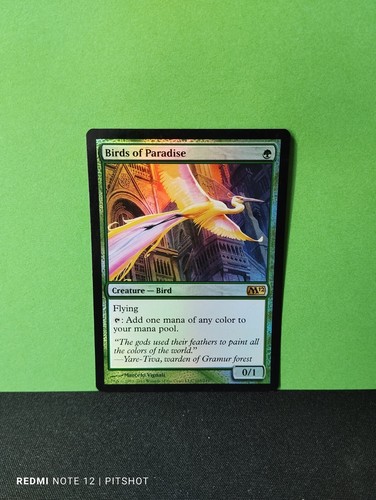 Foil birds paradise - foil, /