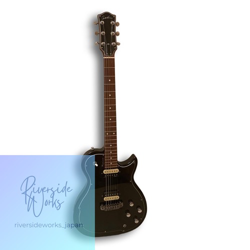 Godin radiator gitarre - godin,