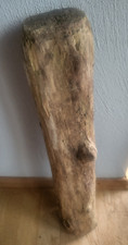 Treibholz Wurzel Ast Brett
