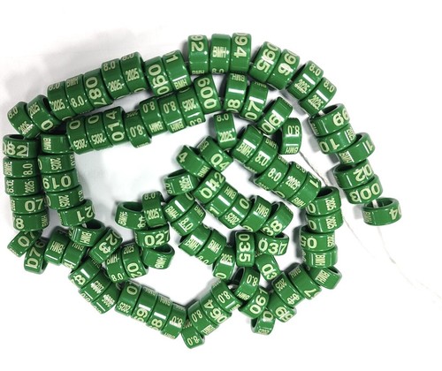 Plastikringe 2025 für tauben - 2025,