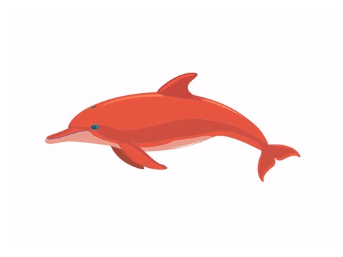 Orange delfin illustration - orange,