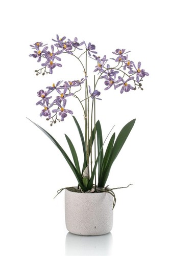 Artplants künstliche orchidee - artplants,