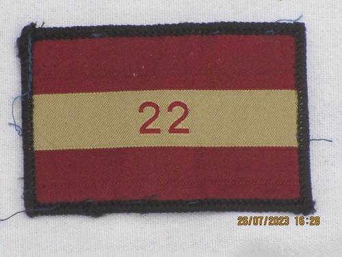 22nd cheshire regiment - 22nd,