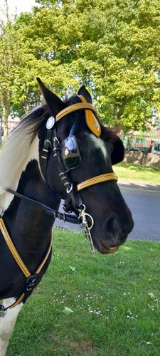 Cob schnellwechsler - cob,
