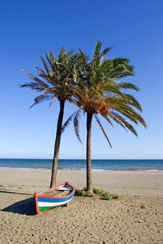 Wandbild buntes ruderboot und - wandbild:,