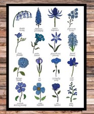 Die Sprache der blauen Blumen