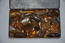 Konvolut Altes Bernstein In