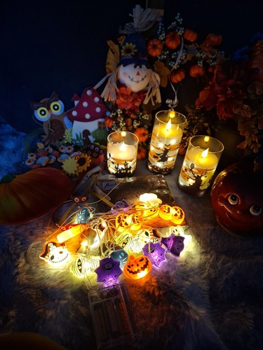 Herbst konvolut deko - ,