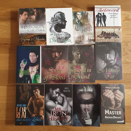 Gay romance buchpaket - gay,