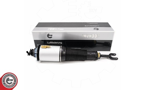 Audi federbein - d3,
