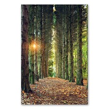 Postereck 3516 Poster Leinwand