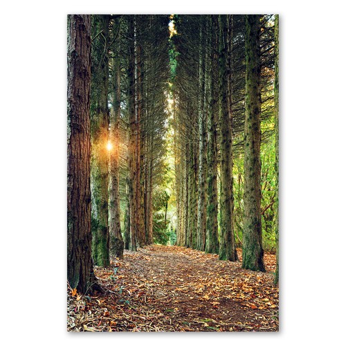 Postereck 3516 poster leinwand - 3516,