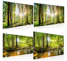 Wandbilder Wald - Bilder grün
