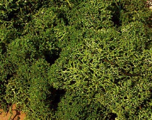 Heki 3218 - , (149,67€/kg)