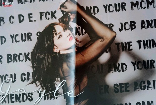 Gayle 7x42cm poster - gayle,