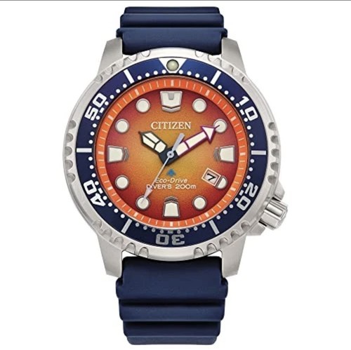 Citizen promaster bn0169 03x - promaster, bn0169-03x