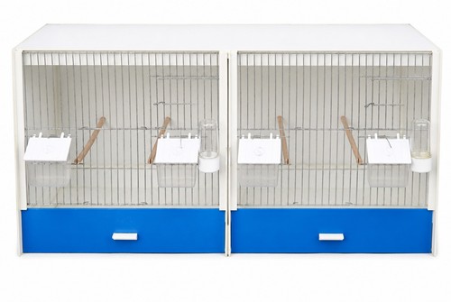 Graf zuchtbox x - zuchtbox, 82