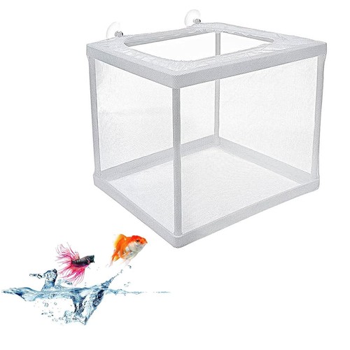 Aquarium brutkasten fische - aquarium,