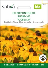 Saatgut einjährige Blume