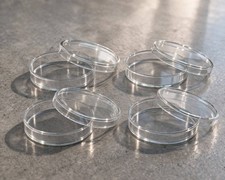 4 Stück Petrischale 100 mm x